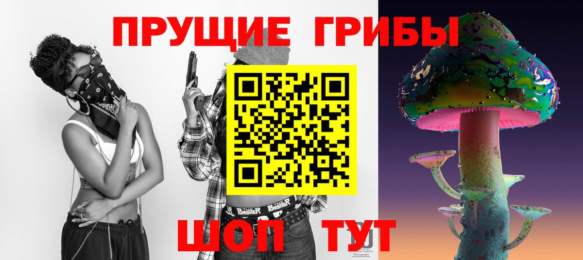 Псилоцибиновые грибы прущие грибы Чернушка